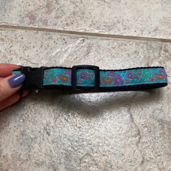 Dog Collar - Picture 3 of 6